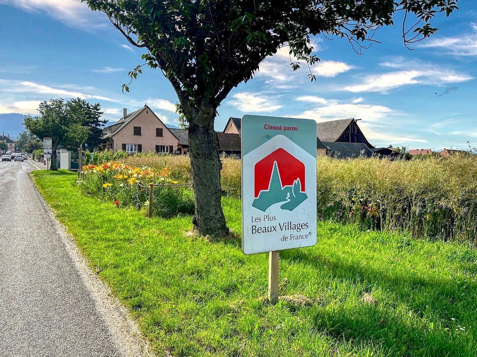 Charmant Studio Avec Parking Eguisheim Exteriör bild